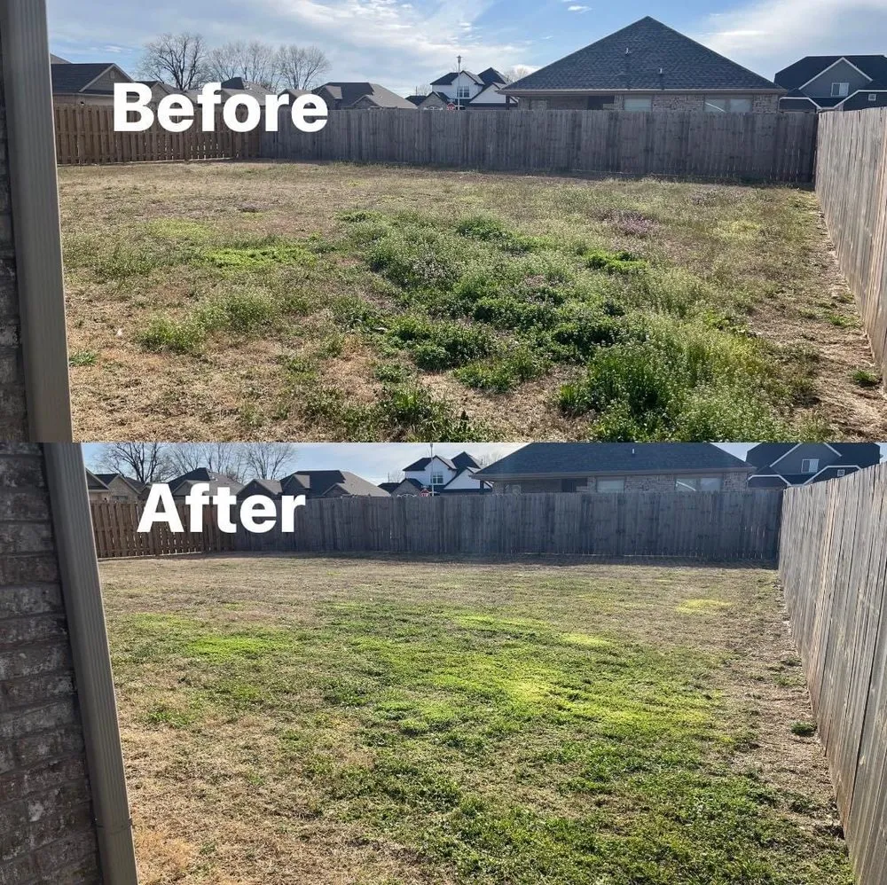 Professional landscape design with custom design in Pea Ridge, AR by All-American Lawn Care