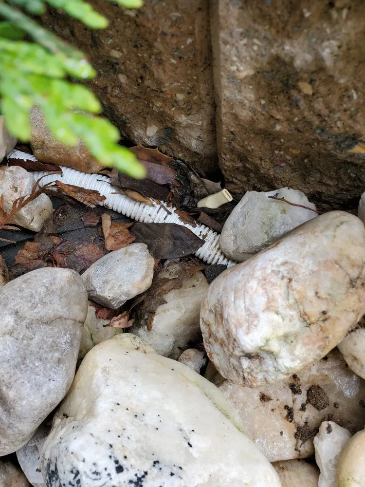 Expert yard cleanup service in Manalapan, NJ - All American Lawn, Landscape & Tree Service