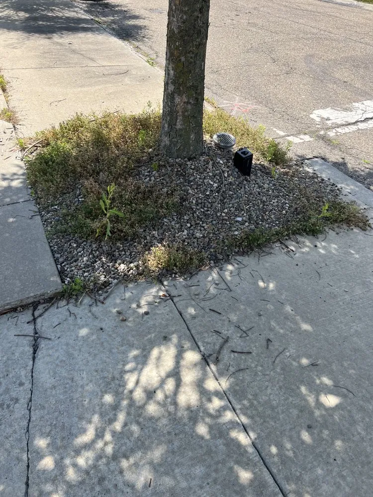 Trusted lawn care service in New Kensington, PA by All American Lawn Mowing