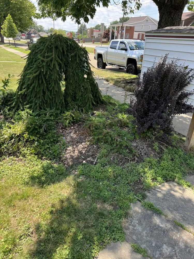 Top-rated landscaping services for outdoor upgrades across New Kensington, PA - All American Lawn Mowing