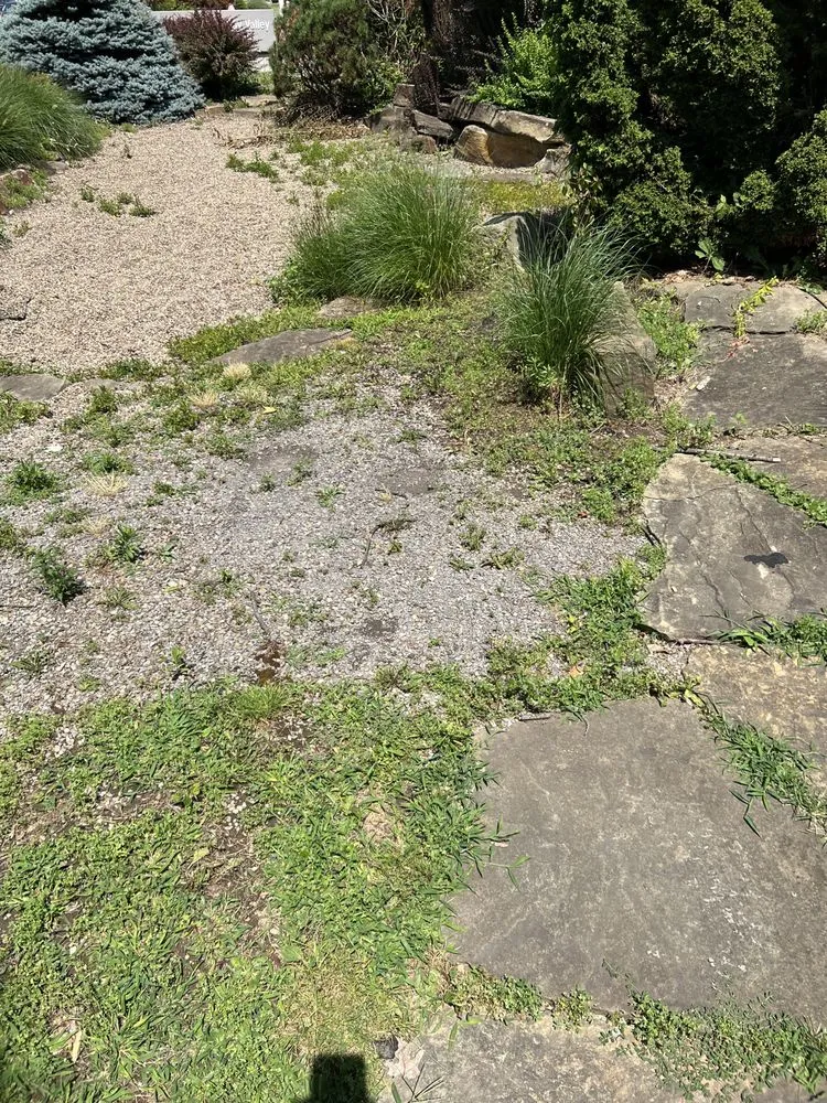 Reliable landscaping services with custom design in New Kensington, PA by All American Lawn Mowing