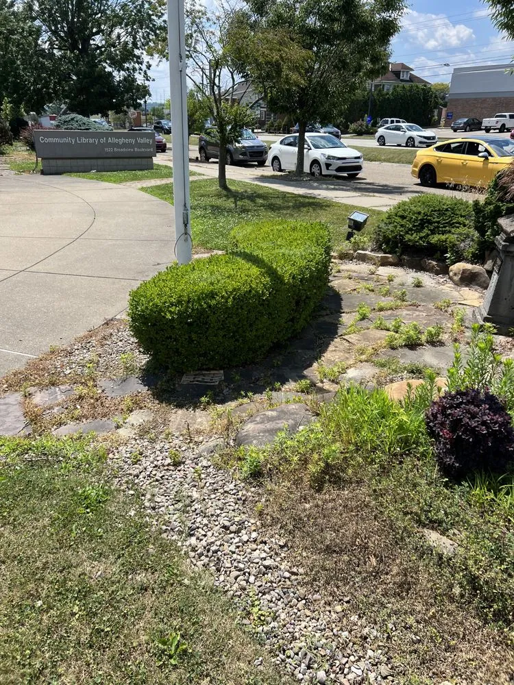 Top-rated yard cleanup service experts serving New Kensington, PA - All American Lawn Mowing