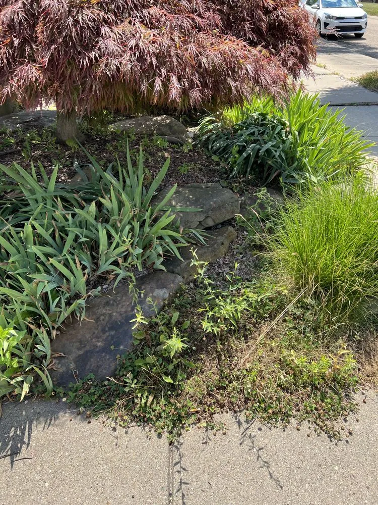 Local outdoor landscaping experts serving New Kensington, PA - All American Lawn Mowing