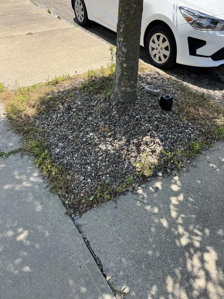 Professional yard maintenance for residential properties in New Kensington, PA by All American Lawn Mowing