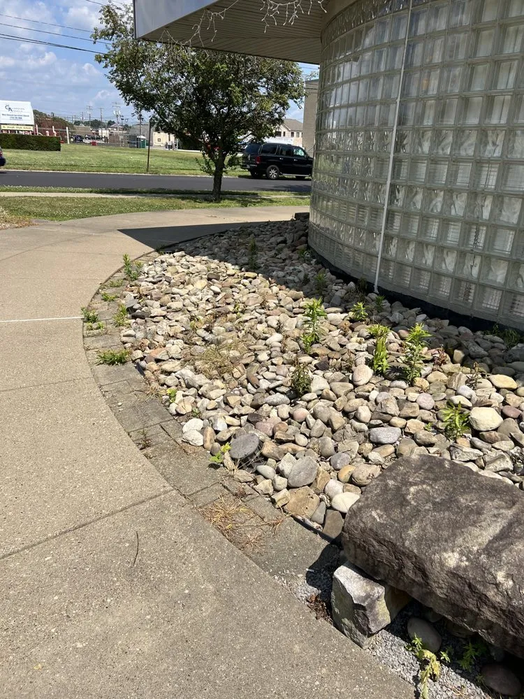 Expert lawn mowing service in New Kensington, PA by All American Lawn Mowing