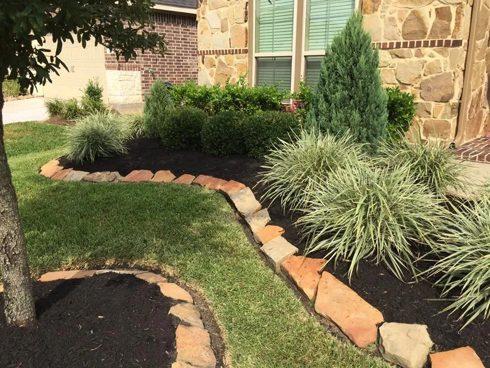 Local yard maintenance in Houston, TX - All-American Lawn Service- Houston