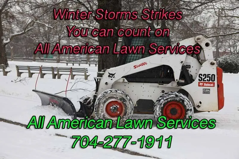 Custom lawn care service experts serving Charlotte, NC - All American Lawn Service