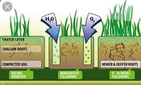 Local landscape design experts serving Charlotte, NC - All American Lawn Service