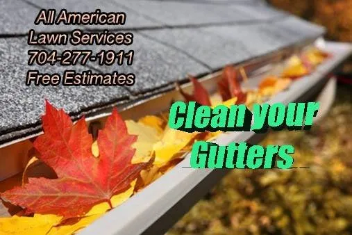 Expert landscaping services in Charlotte, NC - All American Lawn Service