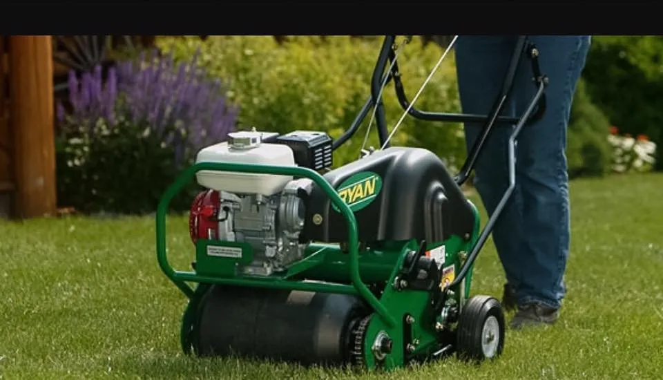 Top-rated landscape design in Charlotte, NC by All American Lawn Service