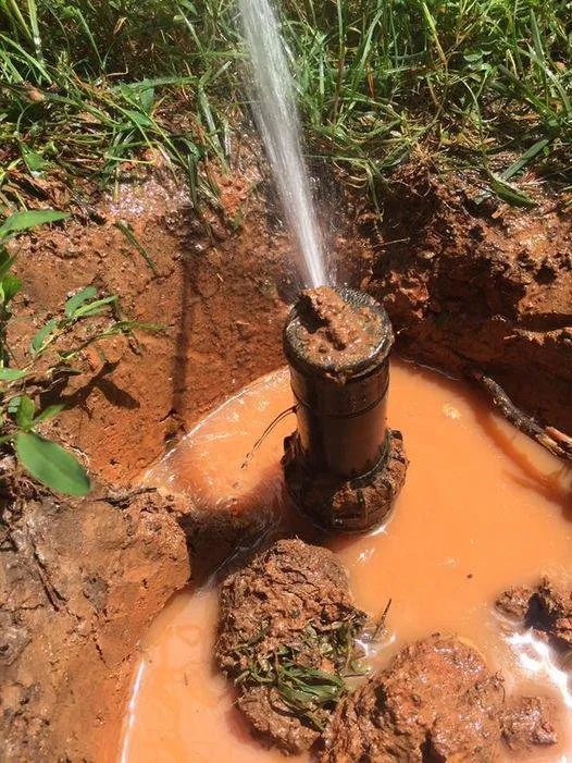 Local garden landscaping in Charlotte, NC by All American Lawn Service