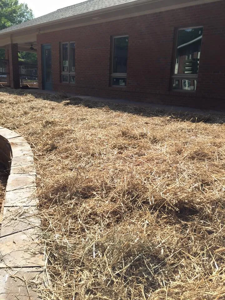 Local yard cleanup service for residential properties across Charlotte, NC - All American Lawn Service