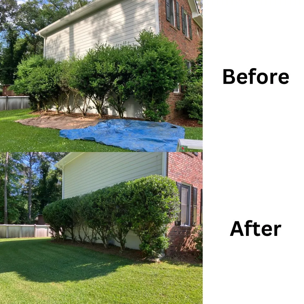 Local yard maintenance experts serving Fayetteville, GA - All-American Lawn Solutions