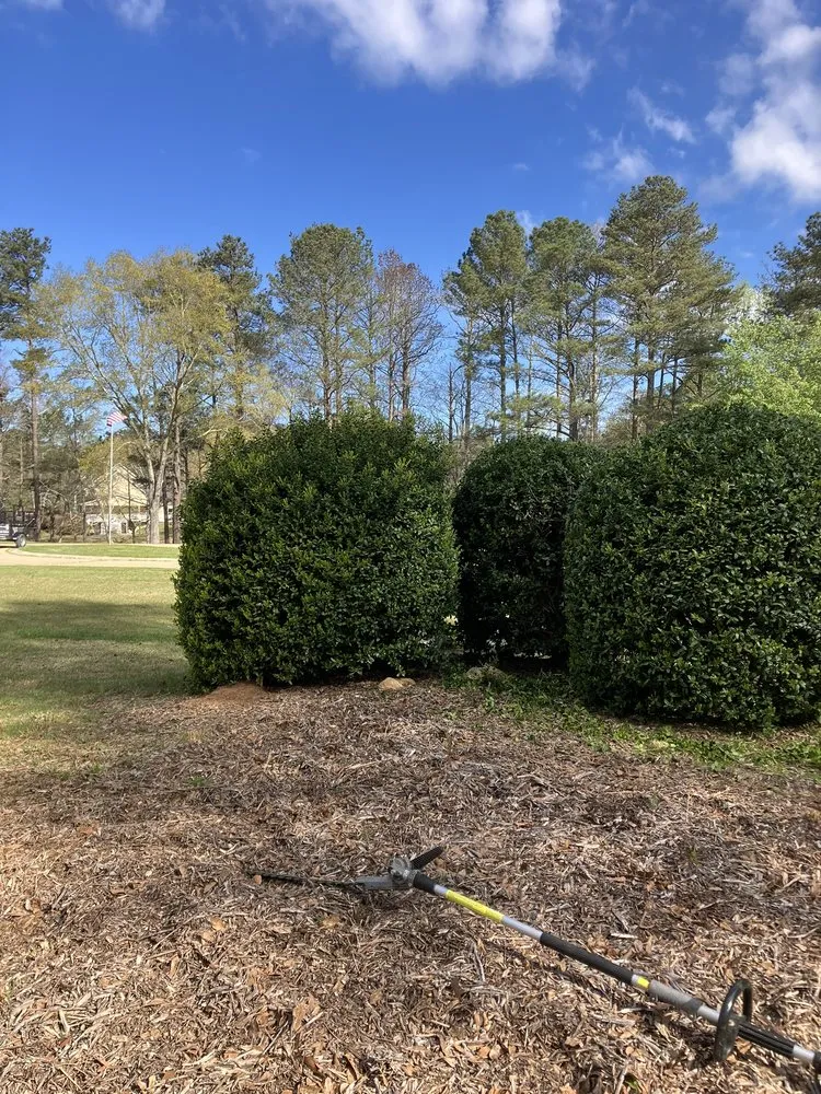 Custom landscaping services in Fayetteville, GA - All-American Lawn Solutions