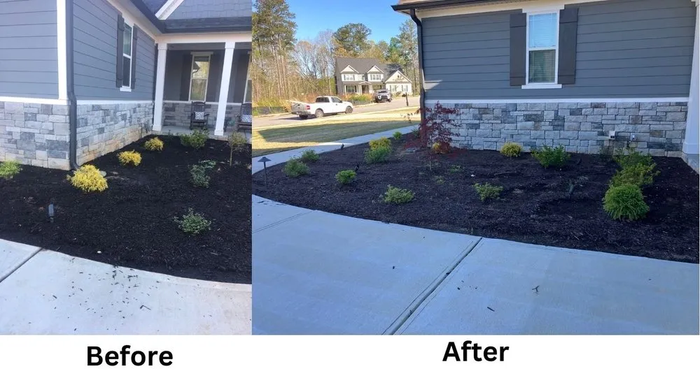 Affordable yard maintenance experts serving Fayetteville, GA - All-American Lawn Solutions