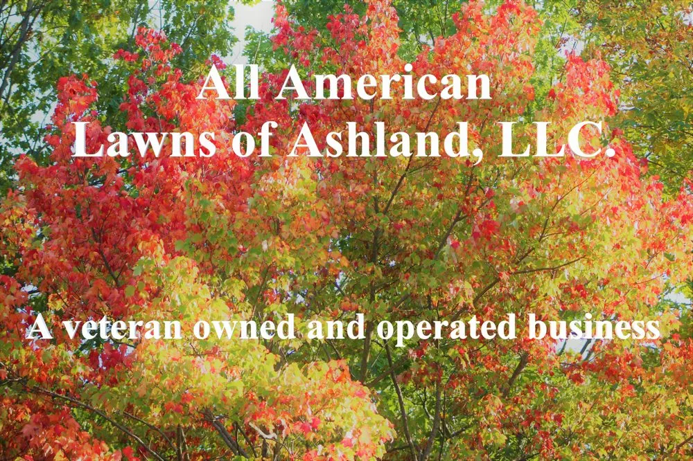 Custom landscaping services for residential properties in Ashland, OH by All American Lawns Of Ashland