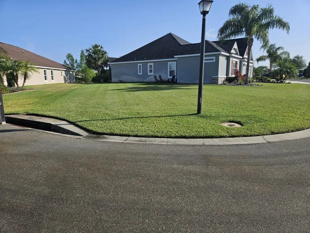 Custom yard cleanup service in Ocklawaha, FL - All American Lawnscaping