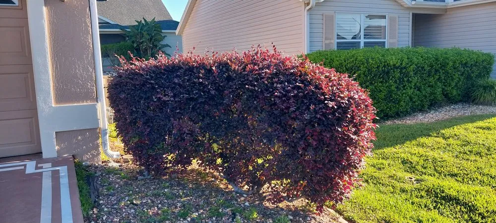 Top-rated lawn mowing service in Ocklawaha, FL - All American Lawnscaping