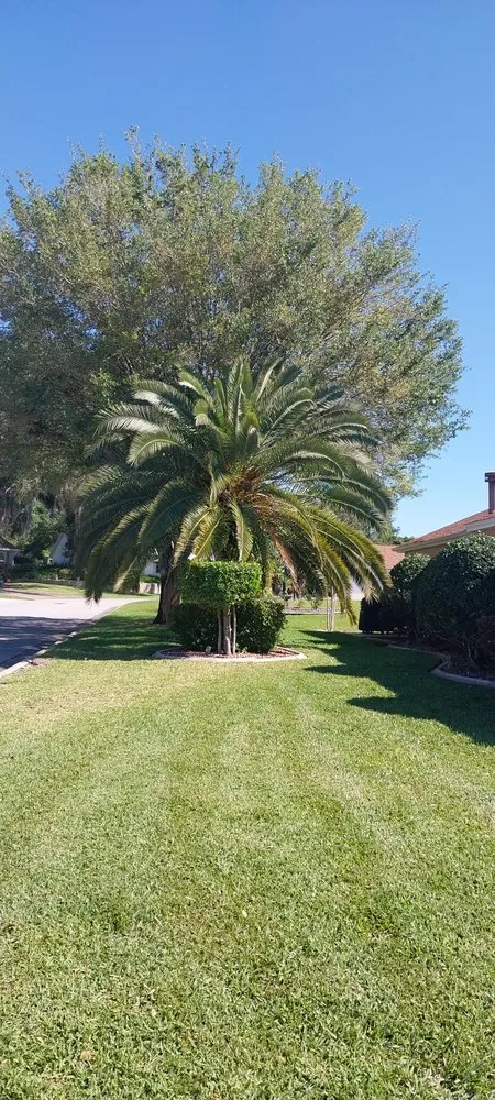 Custom lawn mowing service with custom design across Ocklawaha, FL - All American Lawnscaping