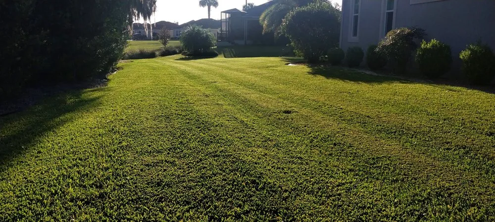 Reliable yard maintenance for year-round maintenance across Ocklawaha, FL - All American Lawnscaping
