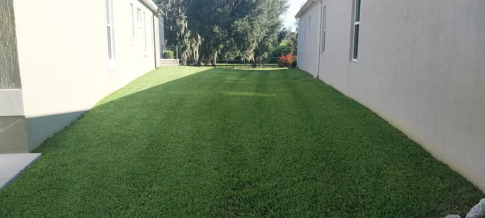 Local landscape design experts serving Ocklawaha, FL - All American Lawnscaping