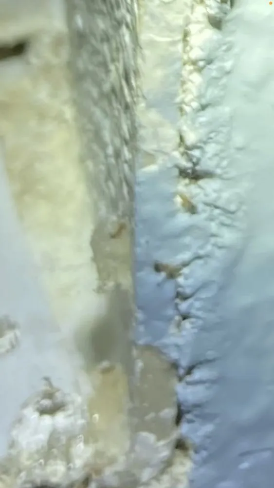 Expert lawn mowing service with custom design in Dunnellon, FL by All American Management