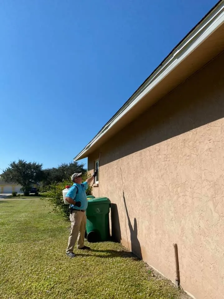 Professional yard cleanup service in Dunnellon, FL - All American Management