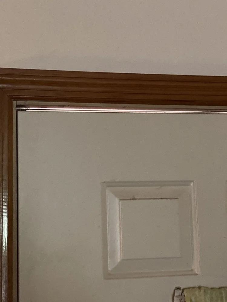 Top-rated lawn care service for beautiful yards across Dunnellon, FL - All American Management