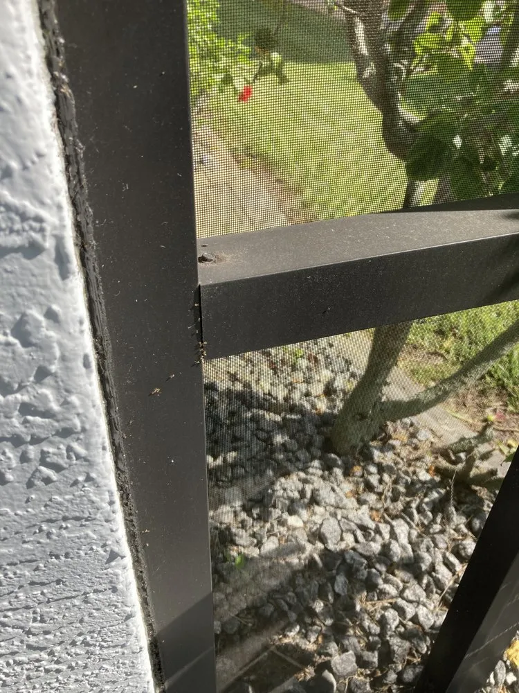 Reliable residential landscaping experts serving Dunnellon, FL - All American Management