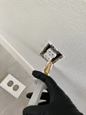 All American Management Logo