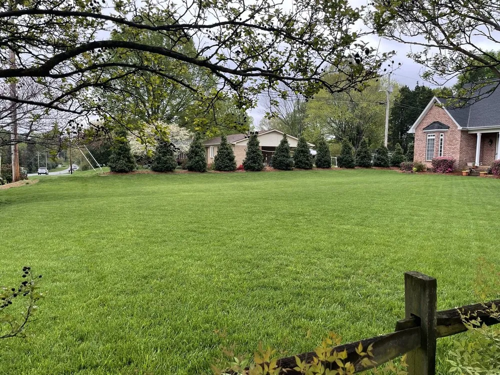 Local lawn mowing service in Charlotte, NC by All American Organics