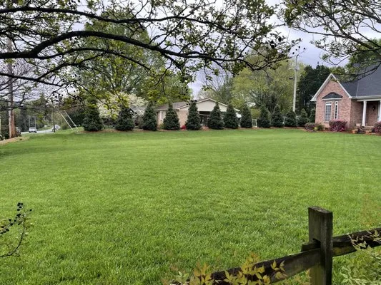 All American Organics Logo