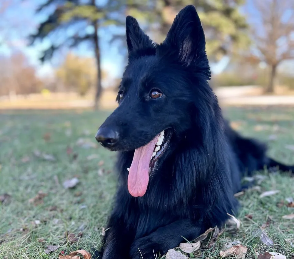 Custom outdoor landscaping in Bay City, MI by All American Outdoor Services