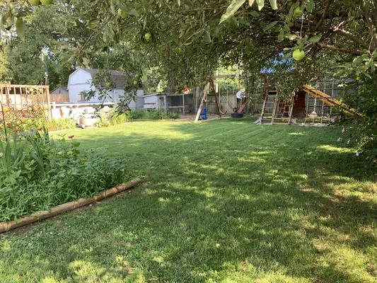 All American Pro Lawns Logo