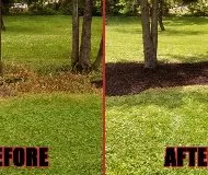 Custom yard maintenance in Allentown, PA - All American Property Maintenance