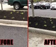 Expert residential landscaping for year-round maintenance in Allentown, PA by All American Property Maintenance