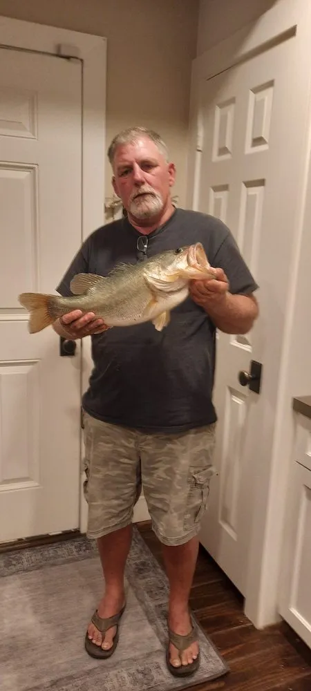 Professional residential landscaping in Sugar Land, TX - All American Property Maintenance