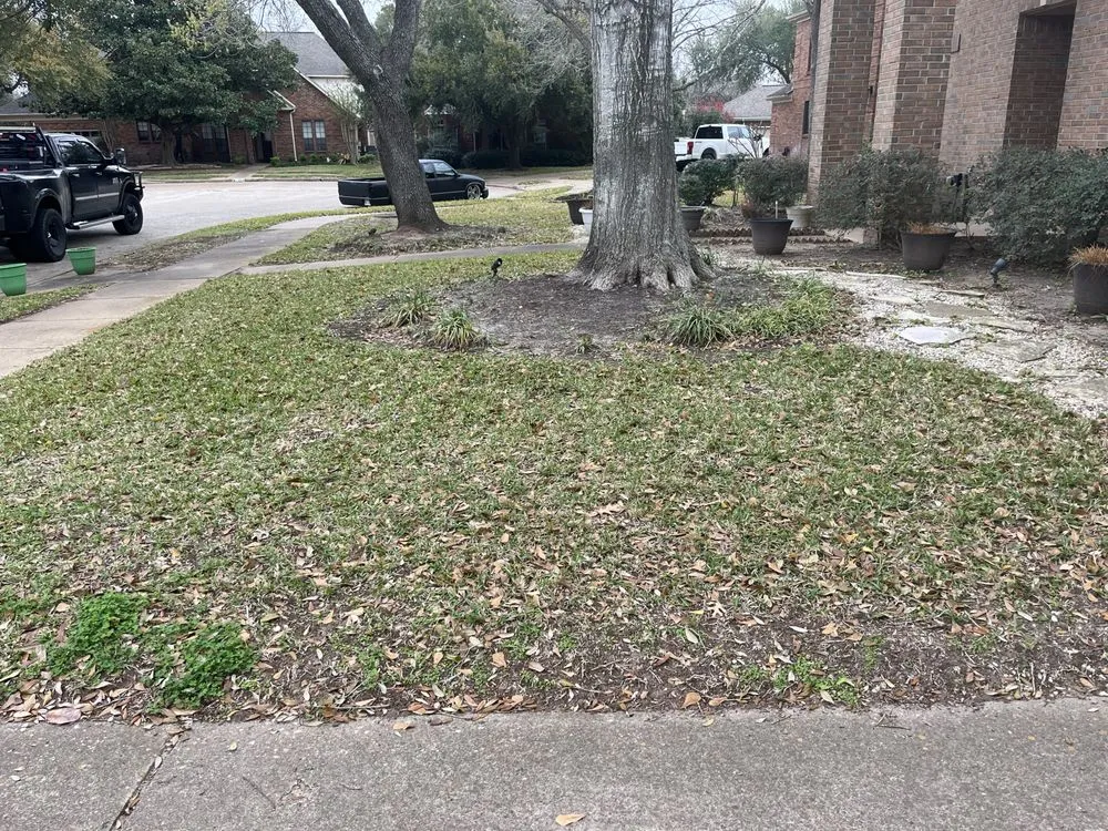 Reliable yard maintenance in Sugar Land, TX by All American Property Maintenance