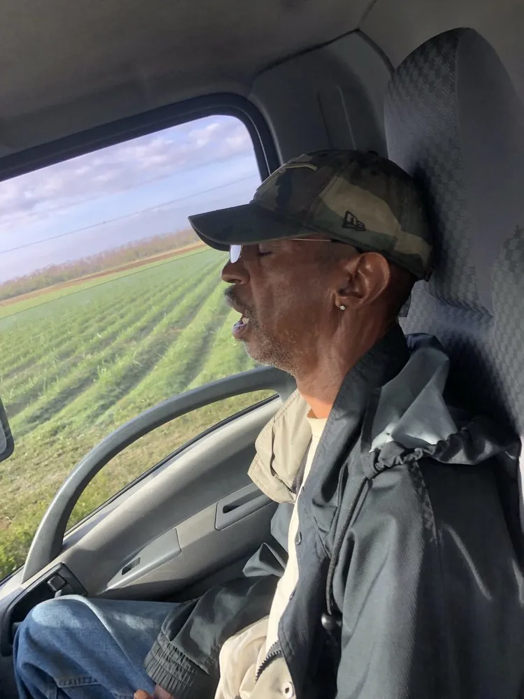 Custom landscaping services near you in Sugar Land, TX by All American Property Maintenance