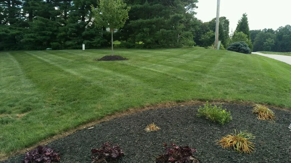 Affordable yard cleanup service in Havre de Grace, MD by All-American Property Management