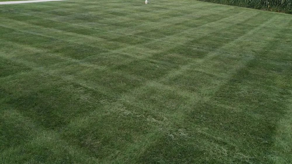 Reliable garden landscaping with custom design in Havre de Grace, MD by All-American Property Management