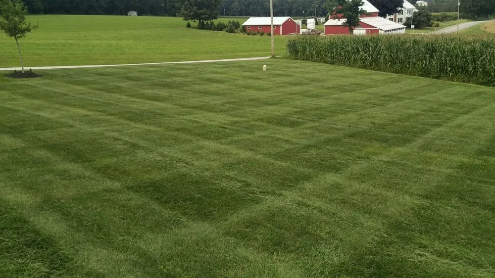 Expert lawn mowing service in Havre de Grace, MD - All-American Property Management