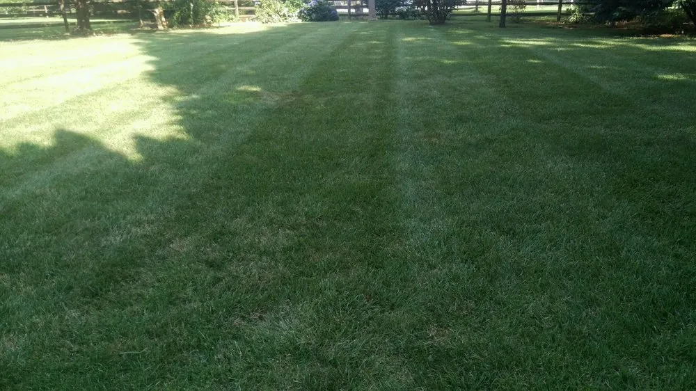 Professional lawn mowing service experts serving Havre de Grace, MD - All-American Property Management