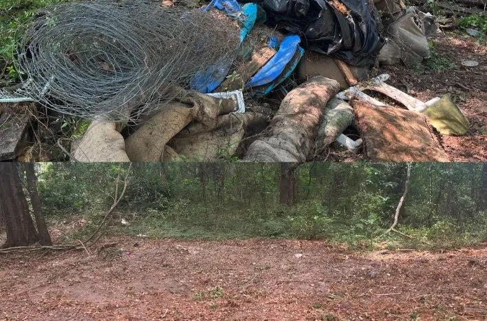 Professional outdoor landscaping in High Springs, FL - All American Property Services