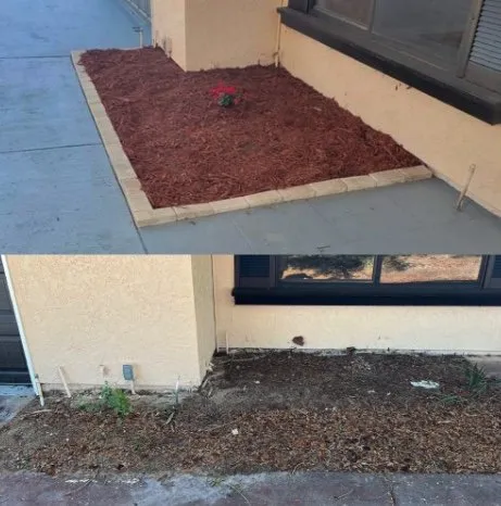 Local landscape design in High Springs, FL by All American Property Services