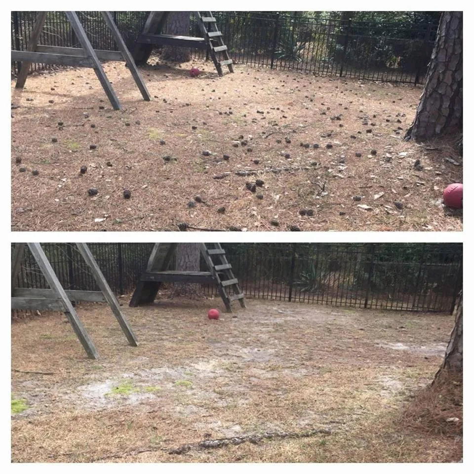 Local lawn care service for beautiful yards across Fayetteville, AR - All American Services