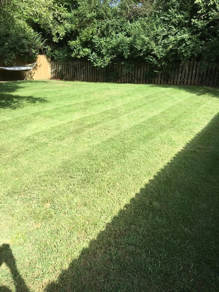 Top-rated landscape installation in Fayetteville, AR by All American Services