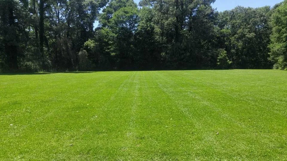 Professional residential landscaping in Fayetteville, AR - All American Services