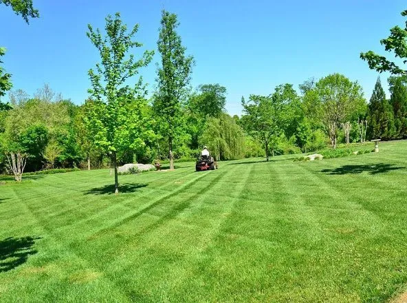 Top-rated yard maintenance in Fayetteville, AR by All American Services