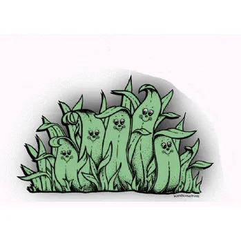 Affordable garden landscaping in Richfield, UT by All American Sod